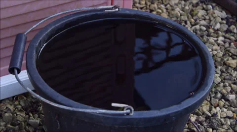 A Bucket Full of Water Stock-Footage 34603856