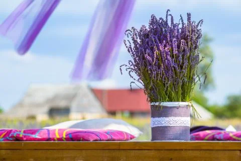 Bucket with lavander Stock Photos