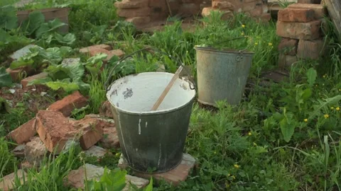 Bucket for lime Stock Footage 133027523