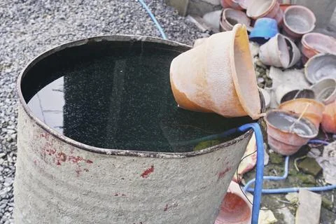 The Bucket Foto stock