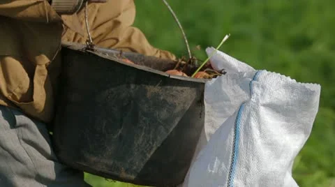From Bucket Into Sack Stock-Footage 22304383