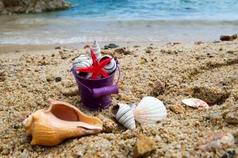 Bucket shells at the b each Stock Photos