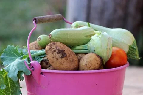 Bucket with vegetables Stock Photos