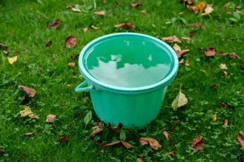 A bucket of water is on the grass. Stock Photos