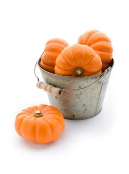 Bucketful of pumpkins Stock Photos