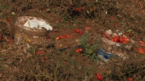 Buckets and working gloves Stock Footage 12733353