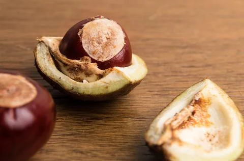 Buckeye Chestnut and conker in shell on wood. Stock Photos