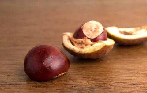 Buckeye Chestnut and conker in shell on wood. Stock Photos