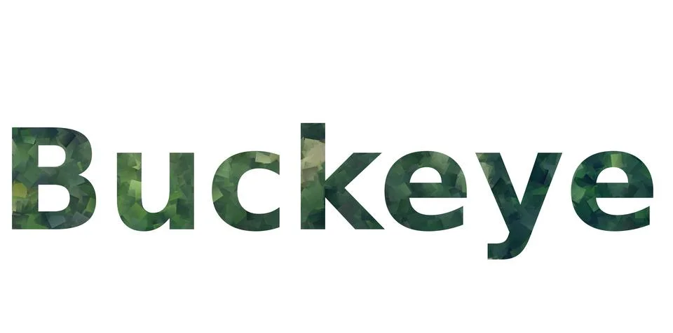 Buckeye Stock Illustration