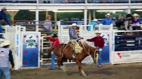 Bucking Horse at Rodeo Stock Footage