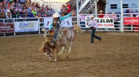 Bucking Saddle Bronc at Rodeo Stock Footage 11358611