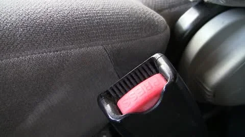 Buckle Up 動画素材 17437056