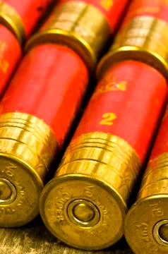 Buckshot Stock-Fotos