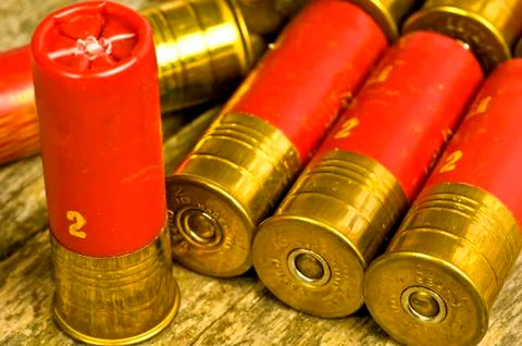 Buckshot Stock Photos