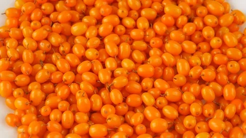 Buckthorn on a plate. Stock Footage