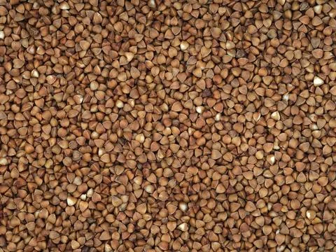 A buckwheat background. Closeup. Stock Photos