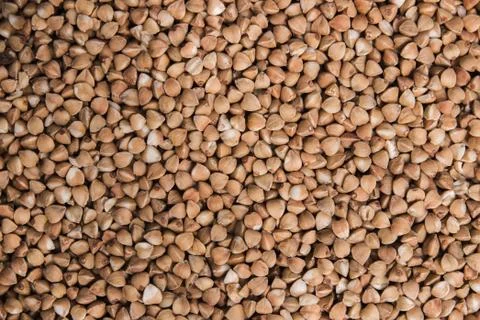 Buckwheat. Background Stock Photos