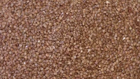 Buckwheat background spinning looped Video stock 71127442