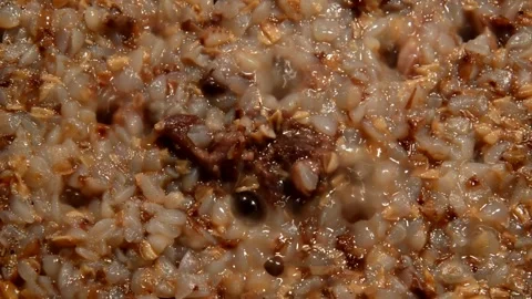 Buckwheat with beef stew Stock Footage 310815821