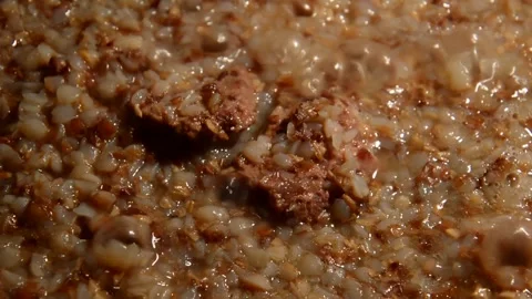 Buckwheat with beef stew Видео 312380517