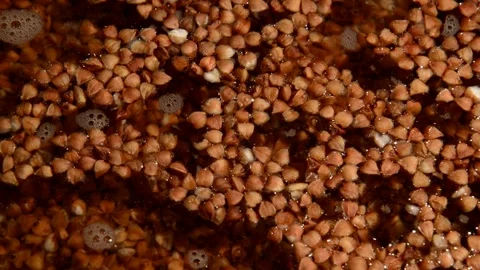 Buckwheat is being prepared Stock Footage 310704324