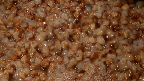 Buckwheat is being prepared Stock Footage 310716407