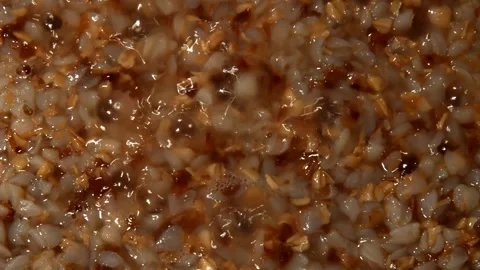 Buckwheat is being prepared 動画素材 310747745