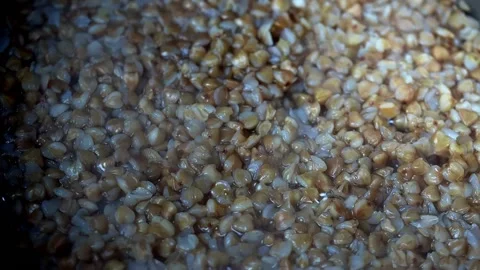 Buckwheat boiling in a pot. Stock Footage 170217442
