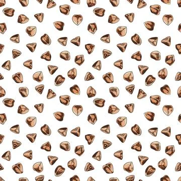Buckwheat brown seeds sketch seamless pattern vector design, hand drawn イラスト素材