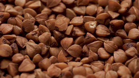 Buckwheat. Camera slowly pans down to show beautiful buckwheat. Macro shot Vídeos de archivo 170142270