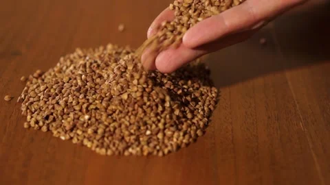 Buckwheat close-up.  Raw buckwheat. Healthy organic food diet concept 127 Stock Footage 150891709