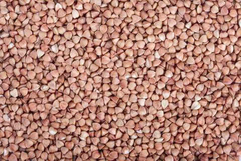 Buckwheat closeup background Stock Photos
