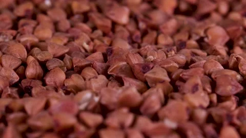 Buckwheat closeup Stock Footage 240010830