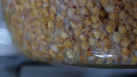 Buckwheat is cooked close-up. Cooking buckwheat. Buckwheat is cooked in a Stock Footage 284174259