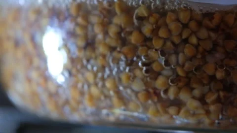 Buckwheat is cooked in a transparent glass pan. buckwheat cooking process. Cooki Stock Footage 283411953