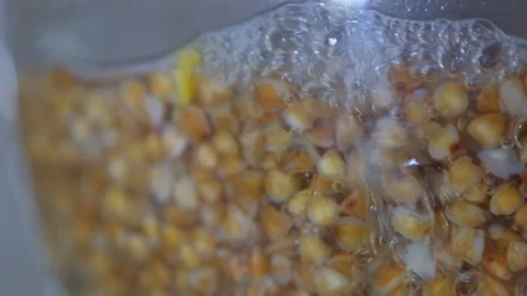 Buckwheat is cooked in a transparent pan. Buckwheat is cooked close-up. Cooking Stock Footage 284174332