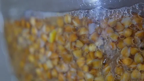 Buckwheat is cooked in a transparent pan. Buckwheat is cooked close-up. Cooking Stock Footage 284941293