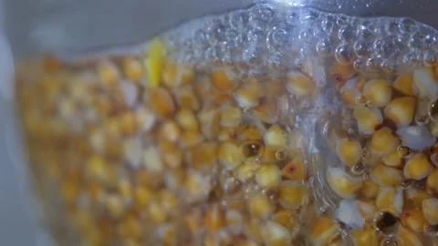 Buckwheat is cooked in a transparent pan. Buckwheat is cooked close-up. Cooking Stock Footage 313754210