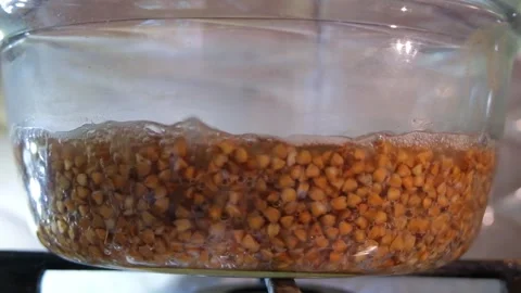 Buckwheat cooking process. Buckwheat is cooked in a transparent glass pan. Cooki Stock Footage 283630140