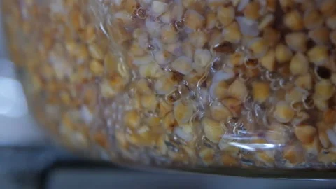 Buckwheat cooking process. Buckwheat is cooked in a transparent glass pan. Cooki Stock Footage 283630188