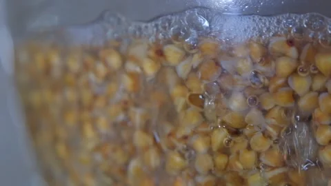 Buckwheat cooking process. Buckwheat is cooked in a transparent glass pan Stock Footage 283630284
