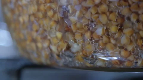 Buckwheat cooking process. Buckwheat is cooked in a transparent glass pan. Cooki Stock Footage 283630302