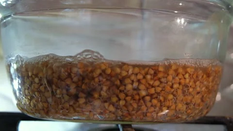 Buckwheat cooking process. Buckwheat is cooked in a transparent glass pan Stock Footage 307314201