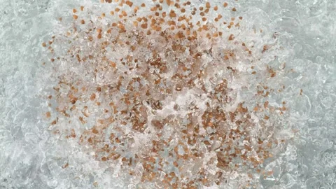 Buckwheat Falling into a Pot of Boiling Water Stock Footage 271399098