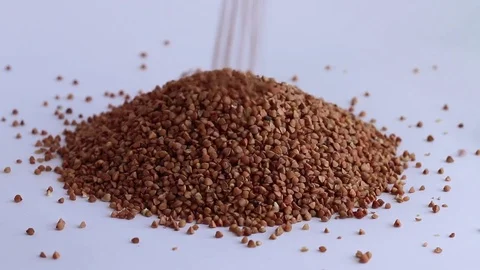 Buckwheat falls back Video stock 74248959