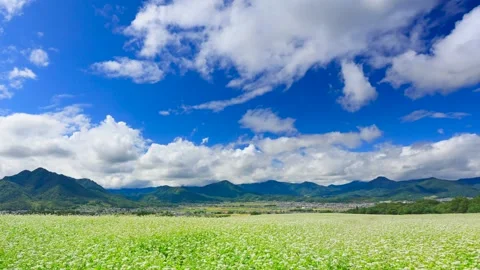 The Buckwheat Fields and Flowing Clouds of Hanazaku Higashiyama Tourist Farm Stock Footage 333272967