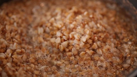 Buckwheat Stock Footage 126766879