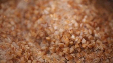 Buckwheat Stock Footage 126766899