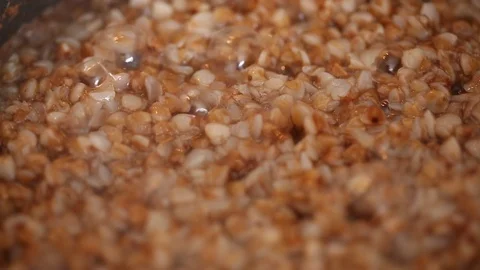 Buckwheat Stock Footage 126766963