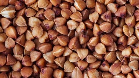 Buckwheat Stock Footage 187630159